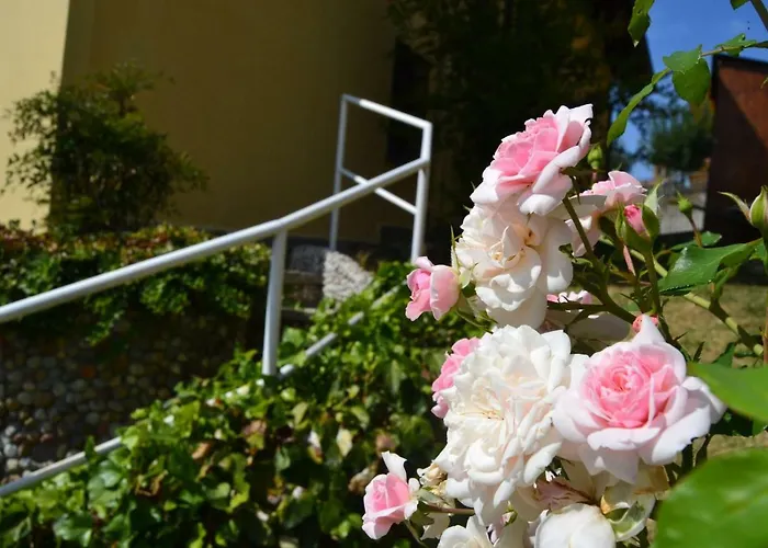 Casa Lanze * Castagnole delle Lanze